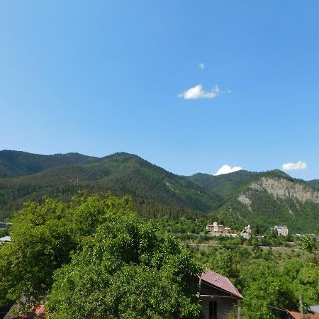 Akaki'S Guesthouse Borjomi Exterior photo