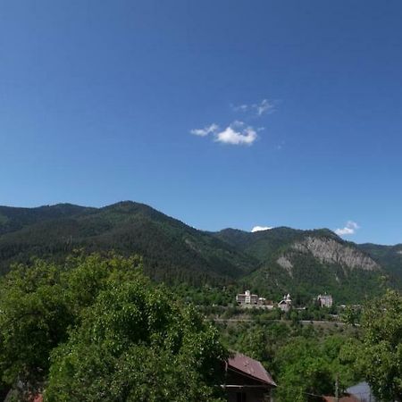 Akaki'S Guesthouse Borjomi Exterior photo